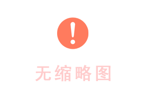昌记御品手撕鸡架
